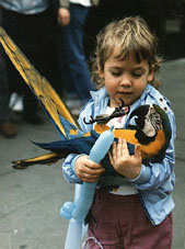 Bird show